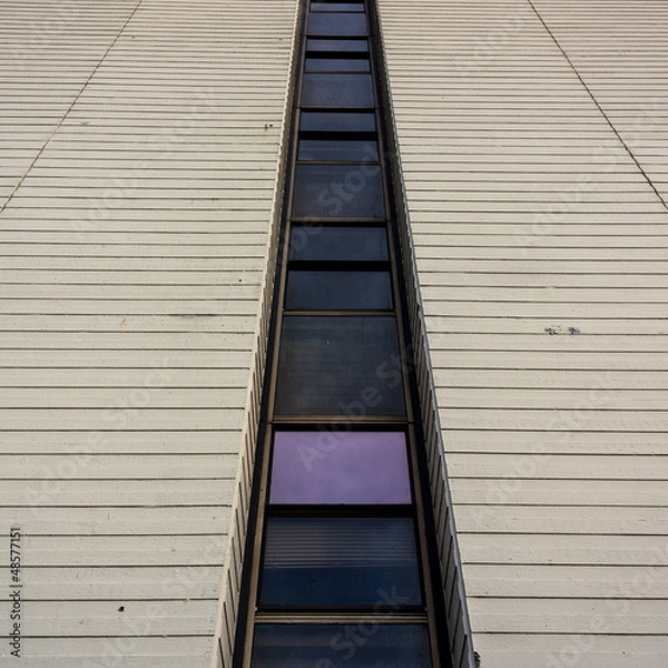 Fototapeta Straight Up