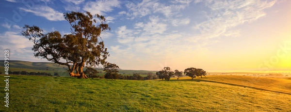 Obraz Clare Field