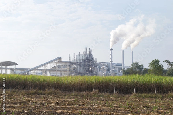 Obraz Air pollution from the sugar factory