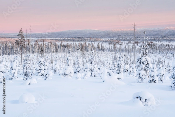 Obraz Frozen snow covered lake in the winter landscape in Lapland at sunset inside the Arctic Circle in Finland