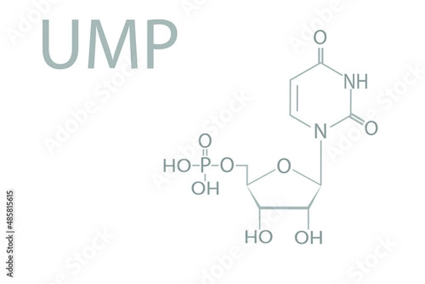 Fototapeta Uridine monophosphate nucleotide (uridylic acid ) molecular skeletal chemical formula.