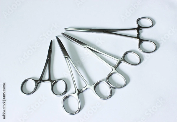 Obraz Artery Forceps Isolated on the white background