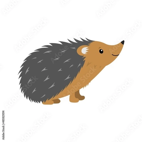 Fototapeta funny smiling standing hedgehog from side isolated on white background, cute vector illustration for children and kids