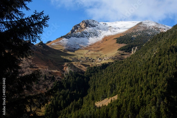 Fototapeta Чувства ,эмоции, жизнь