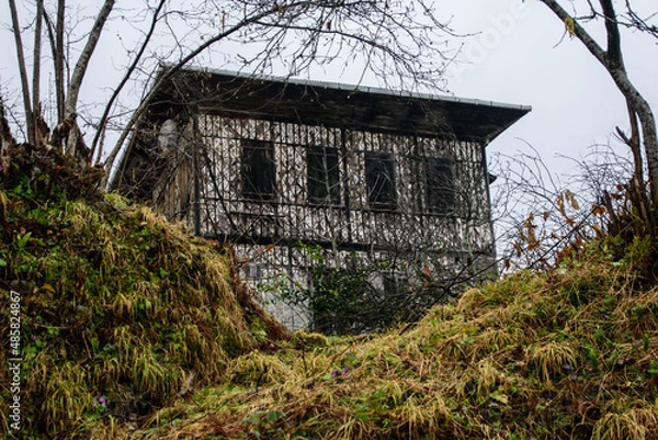 Fototapeta Чувства ,эмоции, жизнь