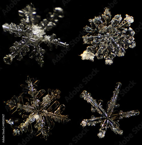 Fototapeta Snowflake under a microscope on the black background