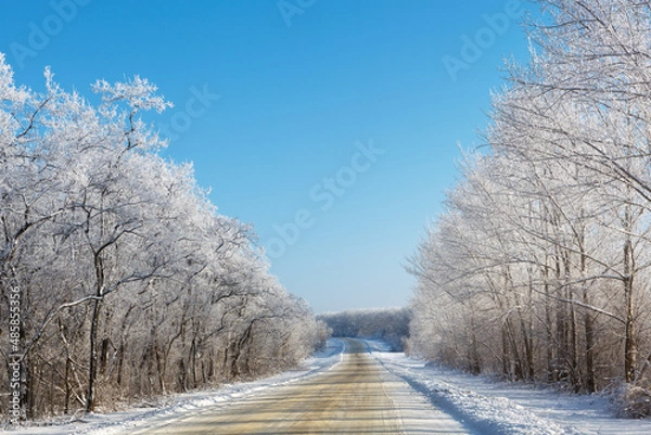 Obraz Winter road through a snowy forest.