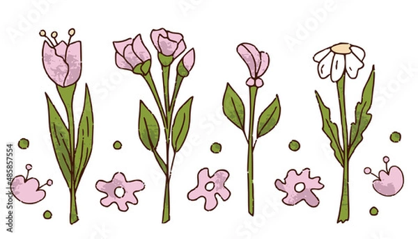 Fototapeta Hand drawn flower set for florist shop, rose, camomile, tulip in color isolated on white background. Floristry handicraft on white. Flat vector cartoon isolated