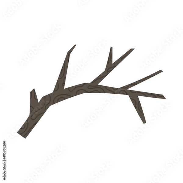 Fototapeta Bare winter or autumn tree branch, flat vector illustration isolated on white background. Plant part without leaves with texture.