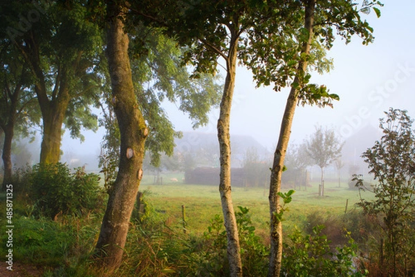 Obraz Farm with trees in mist