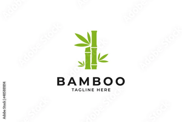 Fototapeta Modern bamboo tree logo vector design