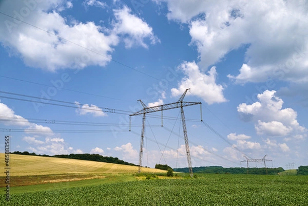 Fototapeta High voltage tower with electric power lines between green agricultural fields. Transfer of electricity concept