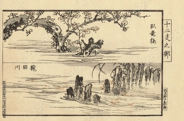 Obraz Ancienne estampe japonaise