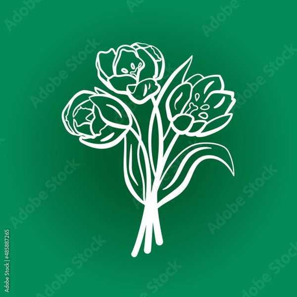 Obraz Flowers Tulips drawn with a white line by hand. Vector drawing of flowers with one stroke without filling. All strokes are editable.
