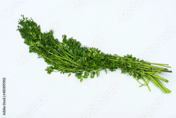 Obraz fresh herbs