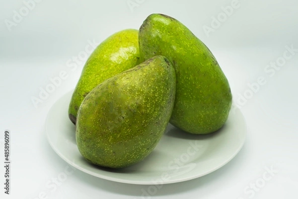 Obraz avocado