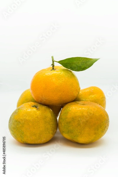 Obraz lemon and lime