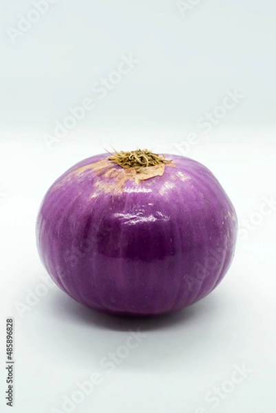Obraz red onion on white background