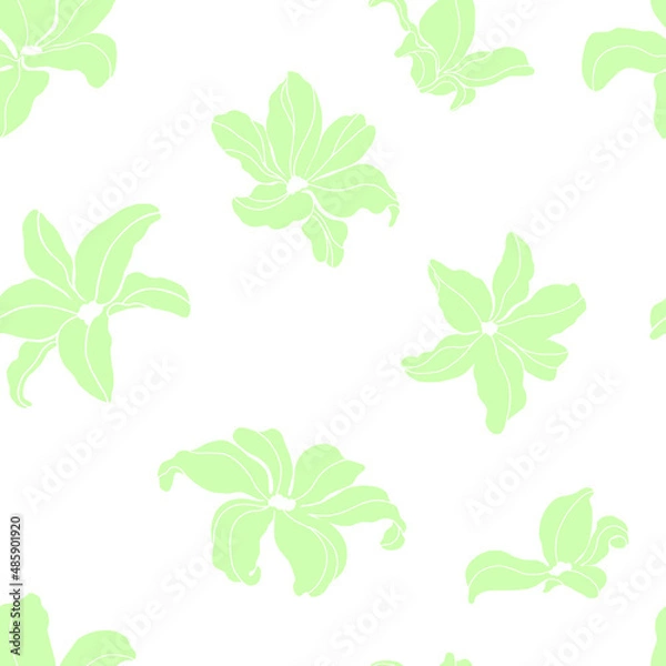 Fototapeta Magnolia with green tea color. Seamless pattern. Vector