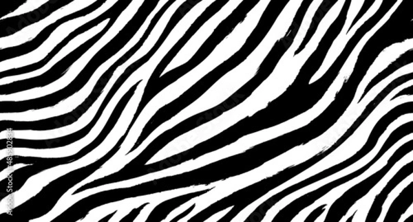 Fototapeta Zebra seamless pattern vector