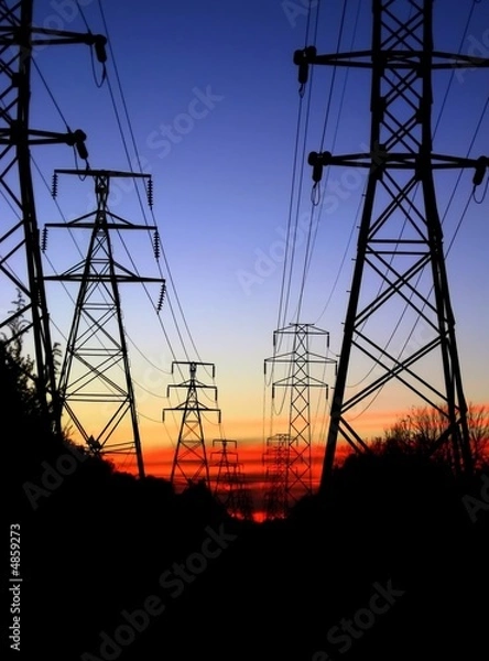 Obraz powerlines in a row