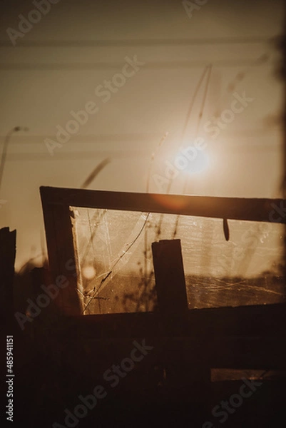 Fototapeta autumn time