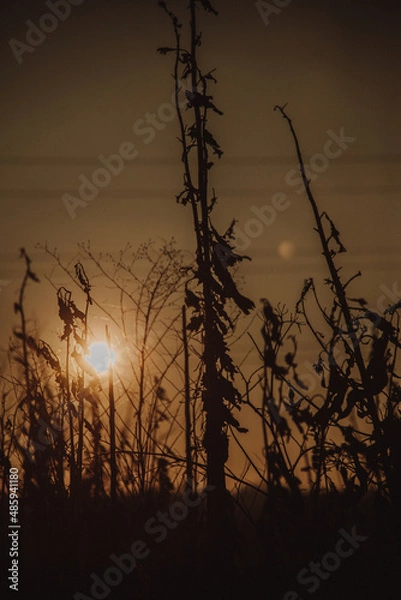 Fototapeta autumn time
