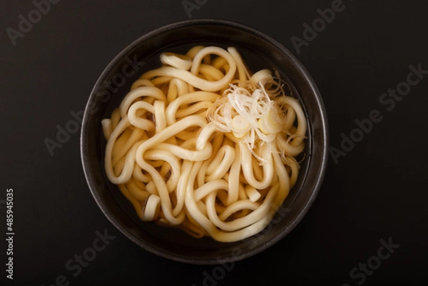 Fototapeta かけうどん