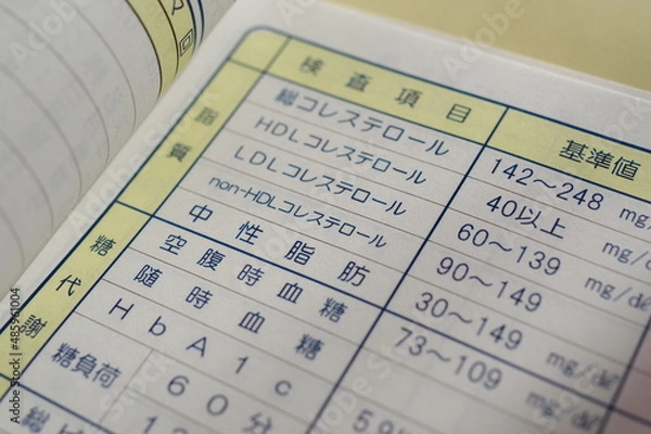 Obraz 健康診断書（中性脂肪,体脂肪,コレステロール,BMI）