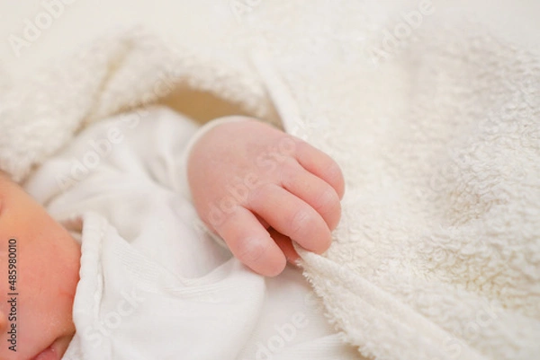 Fototapeta 生まれたての新生児