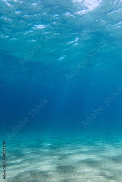 Fototapeta Underwater sea with reflection of sunlight on sand