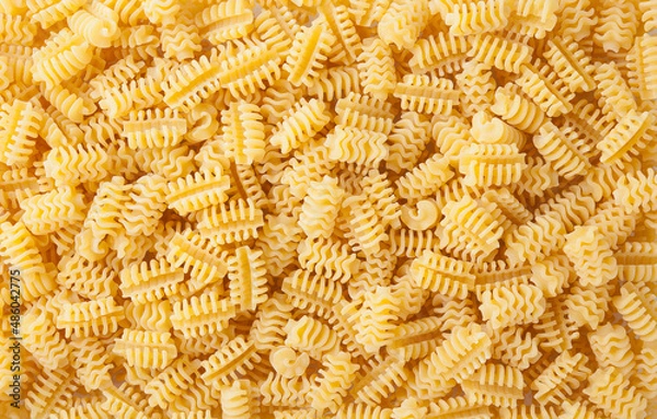Obraz Uncooked radiatori pasta background