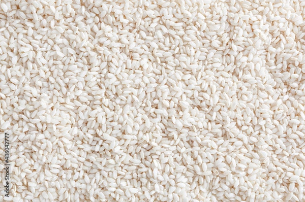 Obraz Uncooked arborio rice background