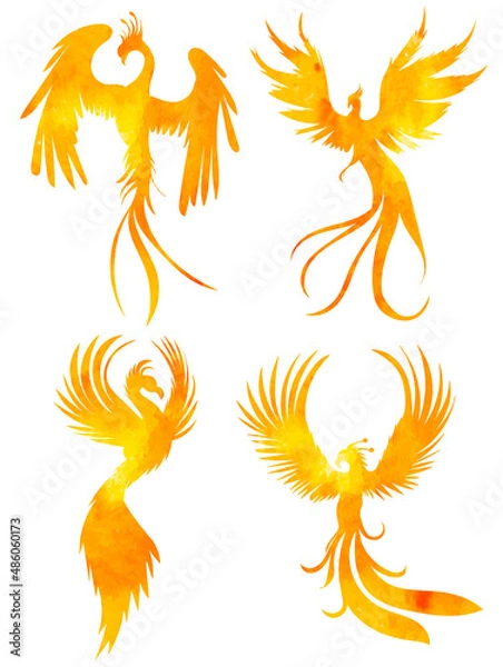 Fototapeta watercolor phoenix bird silhouette ,on white background, vector