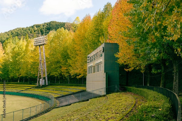 Obraz 野球場と紅葉