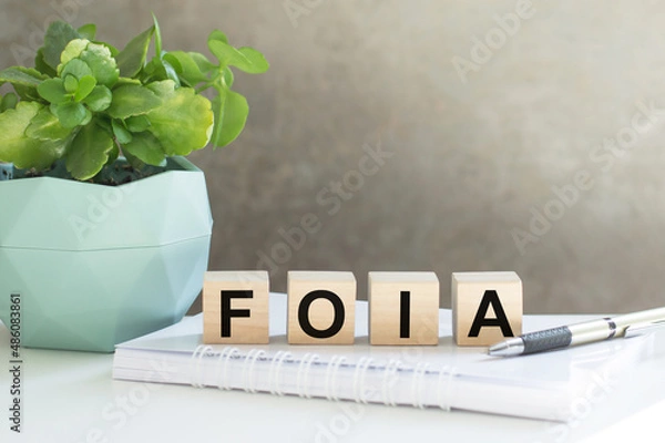 Fototapeta FOIA, text on wood cubes on light background, business concept