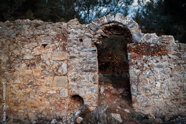 Fototapeta Ancient city of Syedra, Turkey. Antique ruins of historic building with arch and green trees on background. Selective focus.