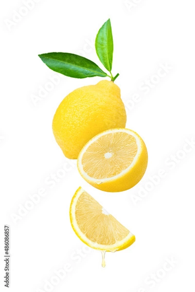 Obraz Lemon juice or lemon essential oil dripping isolated on white background.