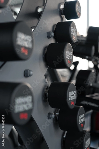 Fototapeta Dumbbells on the dumbbell rack in the gym.
