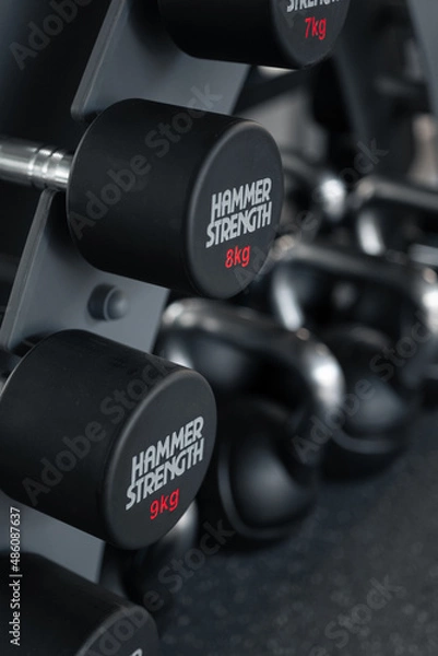 Fototapeta Dumbbells on the dumbbell rack in the gym.
