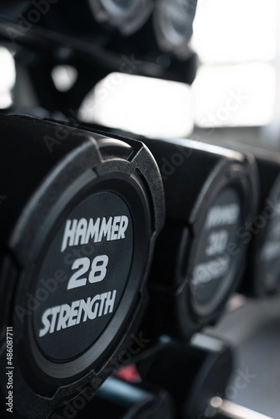 Fototapeta Dumbbells on the dumbbell rack in the gym.
