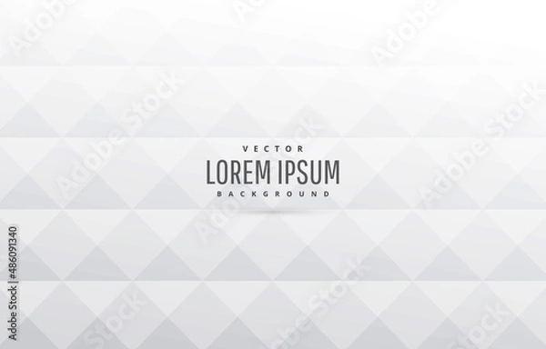 Obraz simple white diamond business background
