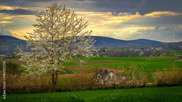 Obraz Złota godzina w górach