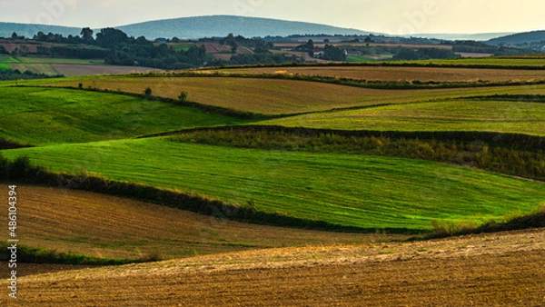 Obraz Górskie polany