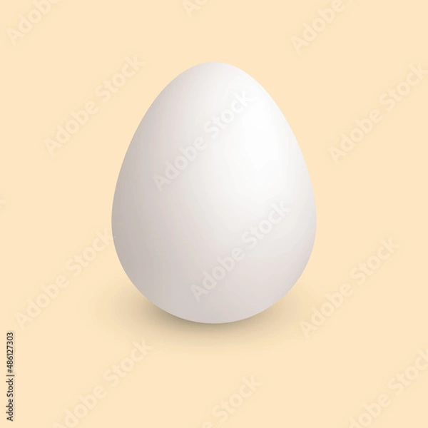 Obraz White egg.Egg background.Vector Illustration