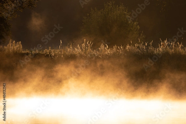 Fototapeta Wschód słońca nad Bugiem mgła
