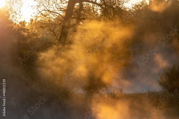 Obraz Wschód słońca nad Bugiem mgła