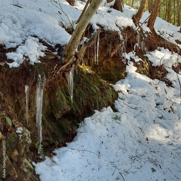 Obraz Icicles in the snow mountain