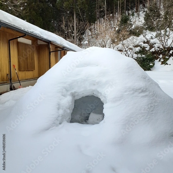 Obraz Snow shelter