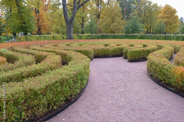 Fototapeta Labyrinth Garden